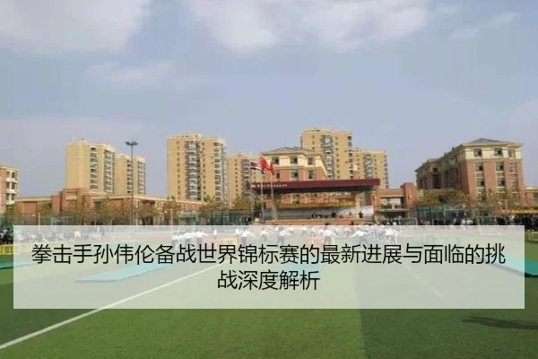 拳击手孙伟伦备战世界锦标赛的最新进展与面临的挑战深度解析